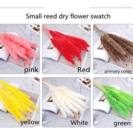 Decorative Flowers 15 Pcs Dried Flower Small Reed Eternal Pampas Grass Wedding Decor For Craftsb Artificial Like Real