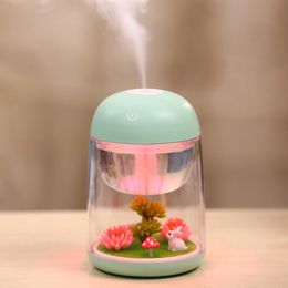 Humidifiers Mini Portable Mist Humidifier Transparent Micro-landscape Air Humidifier Spray Air Purifier Diffuser with LED Lights for Home 230427