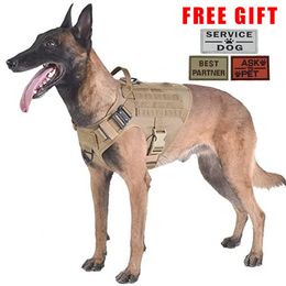 Sets Tactical Vest Dog Harness German Shepherd Pet Dog Vest Dog Leash Harness for Big Dogs K9 Dog Clothes with Handle Hunting Walking