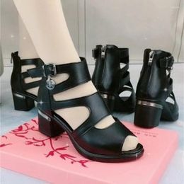 Sandals 2023 Summer Women's Roman Fish-mouth High-heeled Platform Multi-purpose Mid-heeled Shoes