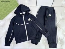 New baby tracksuits kids designer clothes Size 100-160 Colourful embroidered logo hooded girl boy jacket and pants Nov25