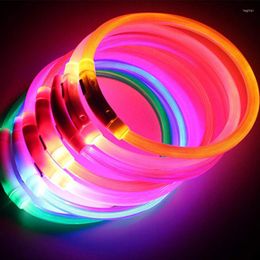 Dog Collars Pets Accessories USB Rechargeable Glow Collar Luminous Puppy Ornaments Glowing Necklace Cool Animal Decortion