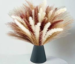 60Pcs Natural Dried Pampas Grass Boho Decor Fluffy White Pompous Reed Bunny Tail Wheat Stalk Decorative Wedding Flower Bouquet8054188