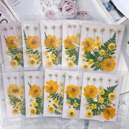 Decorative Flowers 22pcs/set Pressed Dried Flower Leaf Plant Herbarium For Jewelry Bookmark Postcard Phone Case Invitation Card DIY Design-2