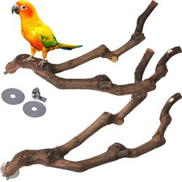 Toys Pet Parrot Raw Wood Fork Tree Branch Stand Rack Toy Natural Parrot Perch Bird Stand Pole Grinding Standing Branches Toy