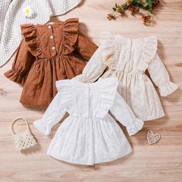 Girl Dresses Infant Baby Girls Casual Dress 0-3T Lace Cutout Round Neck Ruffles Long Sleeve A-line Princess Spring & Autumn