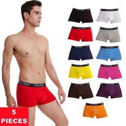 Underpants 5Pcs Silk Men's Boxer Fashion Letters Printing Comfortable Male Stretch Shorts Boys Underwear Men Lingerie