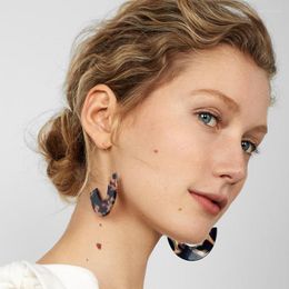 Dangle Earrings Retro Geometric Leopard Print Tortoiseshell Acrylic Acetate Plate U-shaped Drop Personality Exaggerated Women