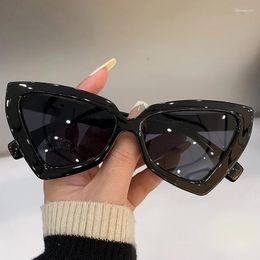 Sunglasses Fashion Cat Eye Sunglass Trendy Female Eyewear Designer Women Travelling Sun Shades Glasse