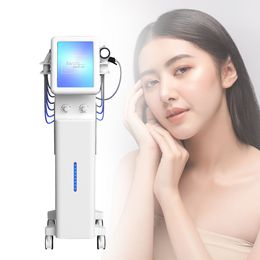 Professional Facial Sprayer Moisturing Skin Rejuvenation Face Cleaning Hydro Water Dermabrasio Oxygen Jet Peel Machine 11-IN-1 RF Fractional Beauty Equipment