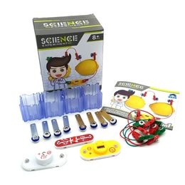 Action Toy Figures Kids Montessori Fruit Potato Dry Battery Educational Science Toys for Children Technology Experiment Teaching Aids STEM Kit 231127