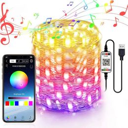 USB Fairy String Lights 2M 5M 10M 20M Waterproof 16 Colors Changing Bluetooth Sliver Wire Lights for Craft Bedroom Ceiling Christmas