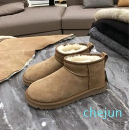 Boot Classic Women Snow Designer Winter Boots Fashion Suede Sheepskin Wool Ankle Booties