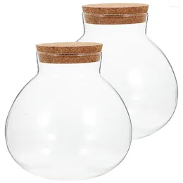 Vases 2 Pcs Micro Landscape Ecological Bottle DIY Empty Flower Pots Glass Plant Cork Terrarium Moss Jar