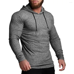 Men's Sweaters Training Bottoming Knitwear Men Sports T-shirt Stylish Ribbed Slim Fit Hooded Long Sleeve Pullover Tops For Gym