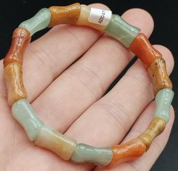 Certified Multi Colour China Gold Silk Jade Bamboo Beads Stretchy Bangle Bracelet