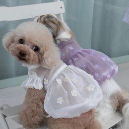 Kleider, Kleid für kleine Hunde, Katze, Chihuahua, Doggy, Welpen, Rock, Yorkies, Zwergspitz, Kleidung, Shih Tzu, Malteser, Bichon, Pudel, Schnauzer, Haustierkleidung