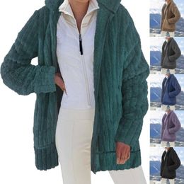 Women's Fur Womens Autumn Winter Warm Plush Zip Pocket Hooded Outerwear Loose Jackets Female Thick Streetwear Coat Faux Fleece Sweater