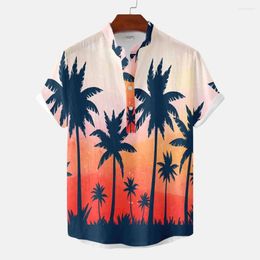 Men's Casual Shirts 2023 High Quality Hawaiian Style Linen 3D Printed Stand Collar Shirt Short Sleeve Tops