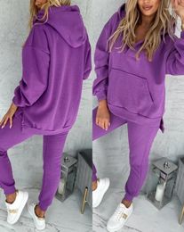 Women's Two Piece Pants 2023 Autumn Winter Spring Fashion Casual Womens Sets Outfit Pocket Design Hooded Sweatshirt& Cuffed Sweatpants Set
