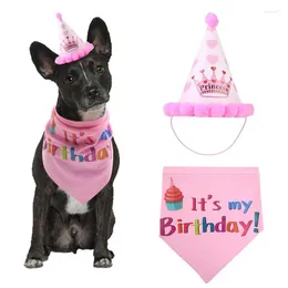 Dog Apparel Unique Birthday Celebration Fun Festive Pet Colourful Animal One-year-old Hat Party Supplies Selling Adorable