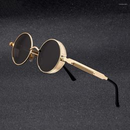 Sunglasses Vintage Round Polarized Retro Steampunk Sun Glasses For Men Women Small Metal Circle Driving UV400