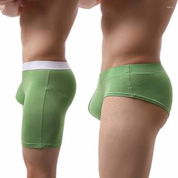 Underpants Men's Long Boxer Shorts Men Underwear Sets Mens Modal Panties Sexy U Convex Male Solid Man Briefs Homme Boxershorts