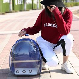 Backpack Pet Parrot Carrier Bird Travel Bag Space Transparent Breathable 360degree Sightseeing249Y