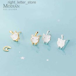 Stud Modian Fashion Sterling Silver 925 Gold Colour Cute Cat Stud Earring for Women Anti-Allergy Animal Ear Pin Fine Jewellery Kids Gift YQ231128