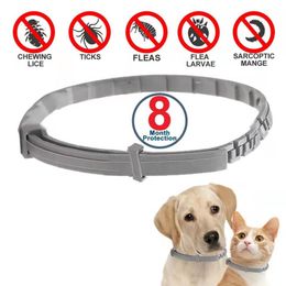 Dog Collars Leashes Dog Anti Flea And Ticks Cats Collar Pet 8Month Protection Retractable Pet Collars For Puppy Cat Large Dogs Accessories 230428