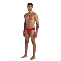 Underpants Manufacturer's Direct Selling Nylon Ice Silk Breathable And Comfortable Low Waisted U-shaped Large Bag Men's Triangle Underwear