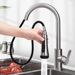 Kitchen Faucets Pulling Type Faucet Cold And Fully Retractable Copper Vegetable Washing Basin Household Universal Anti Splash Water