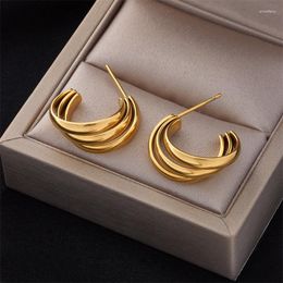 Hoop Earrings 316L Stainless Steel Stud For Women 2023 Luxury Designer Banana-Shape Emale Fashion Girl Jewellery Drop