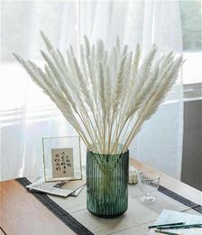 Decorative Flowers Wreaths 30Pcs White Pink Real Pampas Grass Bouquet Natural Dried Home Decor Wedding Accessories Party Decorat9902350