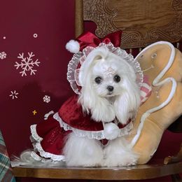 Dog Apparel Pet Dog Christmas Clothes Fashion Red Cloak Coats For Lovely Puppy Dog Cats Clothing Princess Girls Manteau Outfits Yorkshire 231129