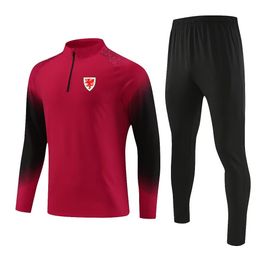 Wales Men's leisure sportswear outdoor sports clothing adult semi-zipper breathable sweatshirt jogging casual long sleeve suit