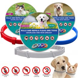 Dog Apparel Pet Cat Collars Veterinary Anti Flea and Tick Collar for Cats Dogs Anti parasitic Necklace Large Small Products 231128