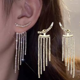 Stud Earrings Exquisite Long Tassel Women Fashion Design Full Of Rhinestone Earring Light Luxury Pearl Dangle Ear Rings Jewelry