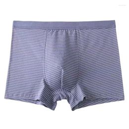 Underpants 2023 Men's Mid High Waisted Cotton Breathable Boxer Underwear Sexy Striped Printed Comfortable Shorts