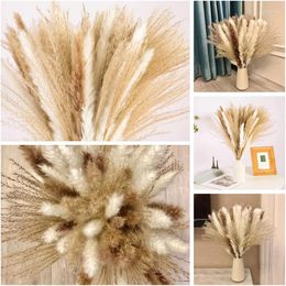 Decorative Flowers 60Pcs Naturally Premium Small Reed Plants Dried Pampas Grass Bouquet Boho Home Decor Wedding Decoration DIY Accessories