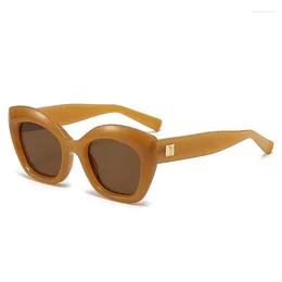 Sunglasses European And American Brown Sun Glasses Sunscreen Female Anti-UV Retro Riveted