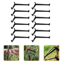 Decorative Flowers 20 Pcs Hose Clamp Tool Branches Trainer Tree Limb Spreaders Modelling Tools Adjustable Pullers Form Fruit Clip Press