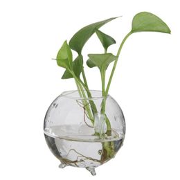 Vases 6pcs Clear Ball Glass Flower Vase Pot Mini Landscape Terrarium Bottle Little Cute Candlestick 8cm248F