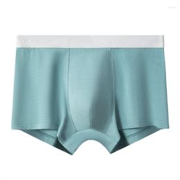 Underpants Underwear For Men Modal Bulge Pouch Boxer Shorts Pants Calzoncillos Hombre Mens Breathable Panties Cueca Mid Waist