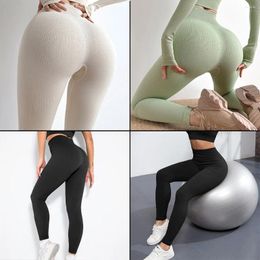 Active Pants Women Ribbed Seamless Yoga Pant High Elastic Sports Fitness Legging Waist Gym Scrunch BuRunning Training Shorts WHSL