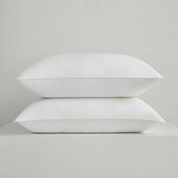 Pillow Bidekanu Original Goose Feather Bed Pillows White Soft Neck Sleeping Pillows 100% Cotton Cover 50x70 CM From China 231129