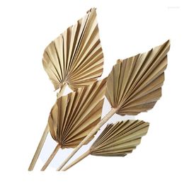 Decorative Flowers 8 Pcs Natural Big Dried Palm Leaves Eaves Room Decor For Style Art Wall Hanging Ornament Wedding