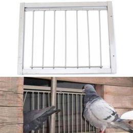 Nests Pigeon Cage Door Iron Door Bob Wires Bars on Frame Entrance Trapping Doors Tumbler for Racing Pigeon Loft Bird 30*26cm