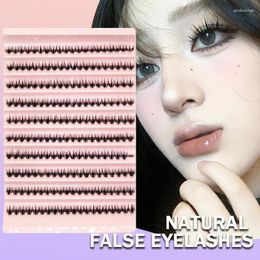 False Eyelashes 10 Rows DIY Cluster Lashes 20D Volume Natural Segmented Bundles Eyelash Extension Professional Makeup Supplies