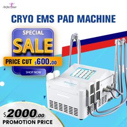 2023 Top Ranking EMS Cryolipolysis Body Shaping Machine Cryo Fat Freeze Cooling 4 Pads For Salon Use